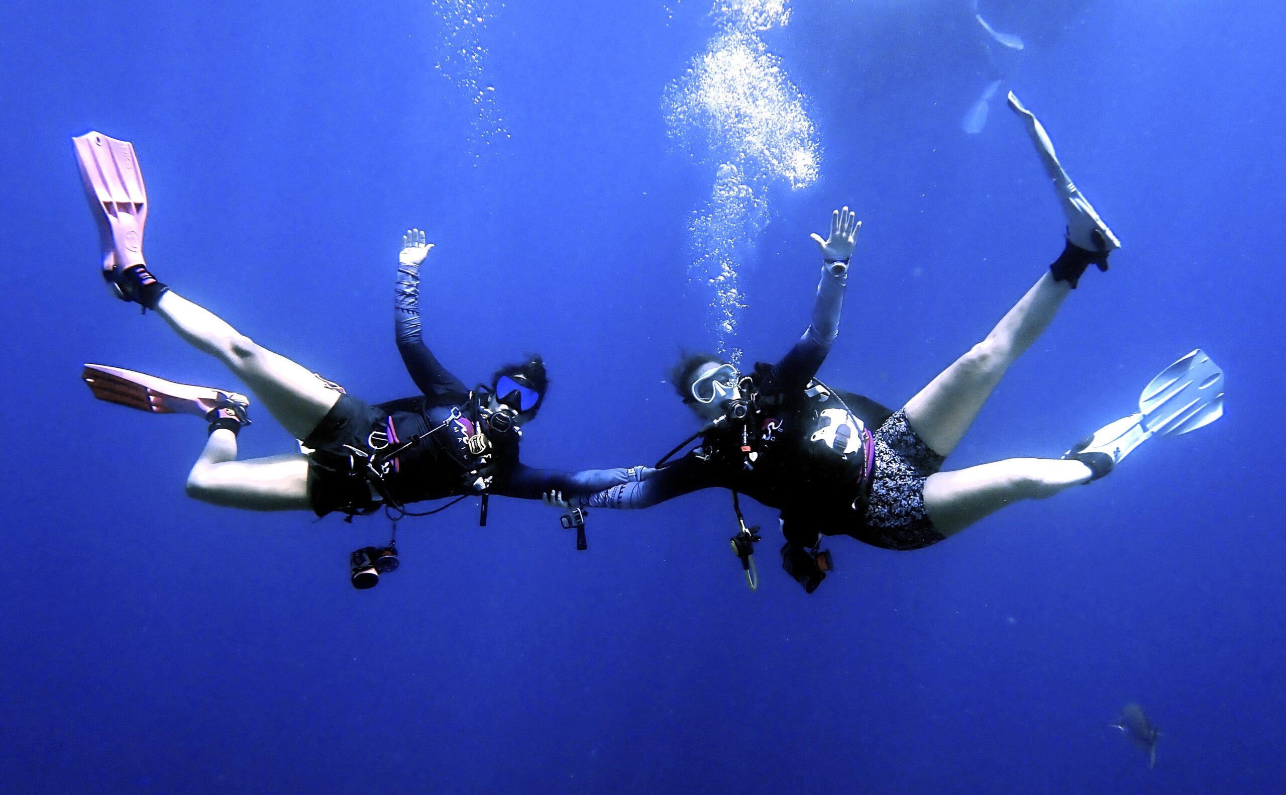 Two Mar Maids pose under water clasping arms, with legs outstretched to either side