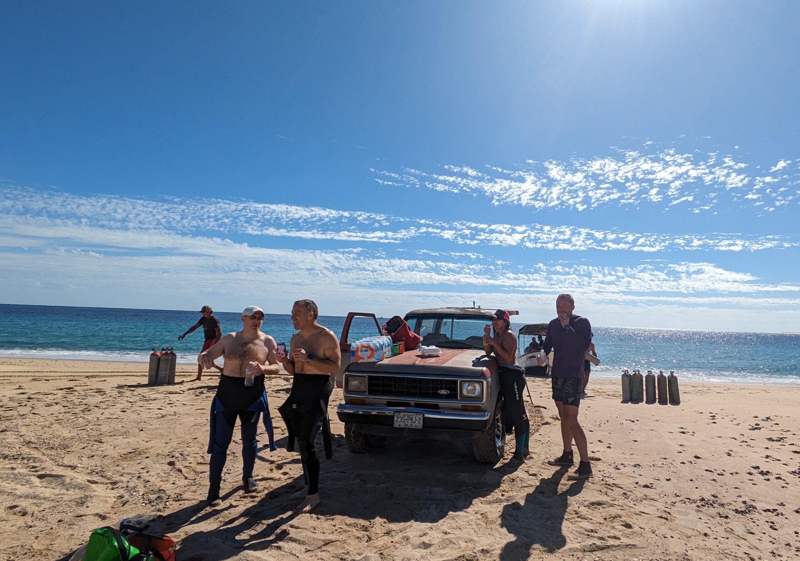 trips shark mahahual mar hosted